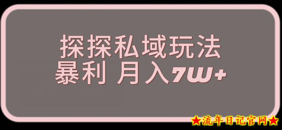 探探最新的私域玩法非常厉害操作简单，聊聊天就能有收入-流年日记