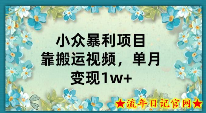 小众暴利项目，靠搬运视频，单月变现1w+-流年日记