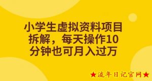 小学生虚拟资料项目拆解，每天操作10分钟也可月入过万-流年日记
