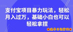 支付宝项目暴力玩法，轻松月入过万，基础小白也可以轻松拿捏【揭秘】-流年日记