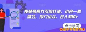 视频号暴力引流打法，小白一看就会，冷门小众，日入300+【揭秘】-流年日记