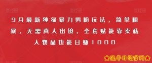 9月最新纯绿暴力男粉玩法，简单粗暴，无需真人出镜，全套赋能靠卖私人物品也能日赚1000-流年日记