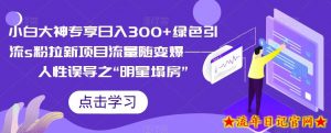 小白大神专享日入300+绿色引流s粉拉新项目流量随变爆——人性误导之“明星塌房”-流年日记