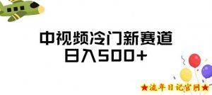 中视频冷门新赛道,做的人少,三天之内必起号,日入500+【揭秘】-流年日记