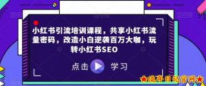 小红书引流培训课程，共享小红书流量密码，改造小白逆袭百万大咖，玩转小红书SEO-流年日记