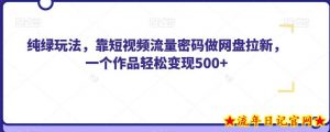 纯绿玩法，靠短视频流量密码做网盘拉新，一个作品轻松变现500+【揭秘】-流年日记
