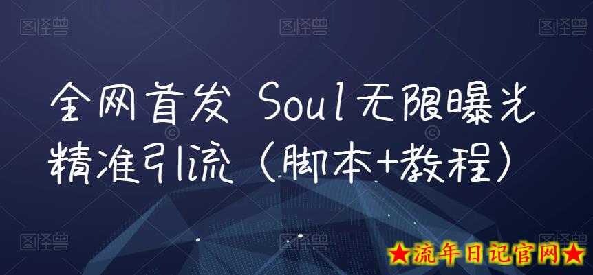 全网首发 Soul无限曝光精准引流（脚本+教程）-流年日记