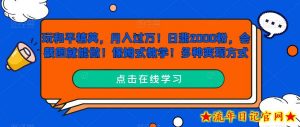 玩和平精英,月入过万!日涨2000粉,会截图就能做!保姆式教学!多种变现方式-流年日记