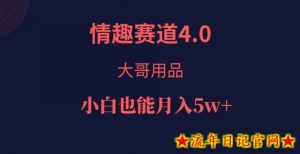 情趣赛道4.0，大哥用品，小白也能月入5w！-流年日记