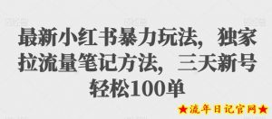 最新小红书暴力玩法，独家拉流量笔记方法，三天新号轻松100单【揭秘】-流年日记