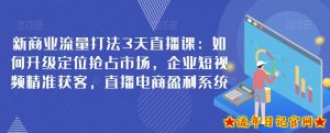 新商业流量打法3天直播课：如何升级定位抢占市场，企业短视频精准获客，直播电商盈利系统-流年日记