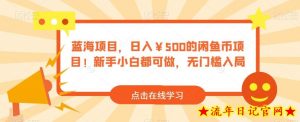 蓝海项目，日入￥500的闲鱼币项目！新手小白都可做，无门槛入局-流年日记