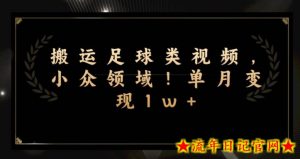 搬运足球类视频,小众领域!单月变现1w+-流年日记