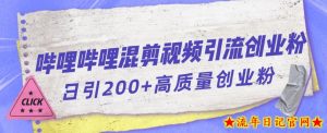 哔哩哔哩B站混剪视频引流创业粉日引300+-流年日记