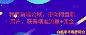 利用前端公域，带动网盘新用户，获得精准流量+佣金（揭秘）-流年日记