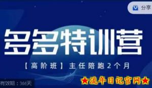 纪主任·多多特训营高阶班【9月13日更新】，拼多多最新玩法技巧落地实操-流年日记