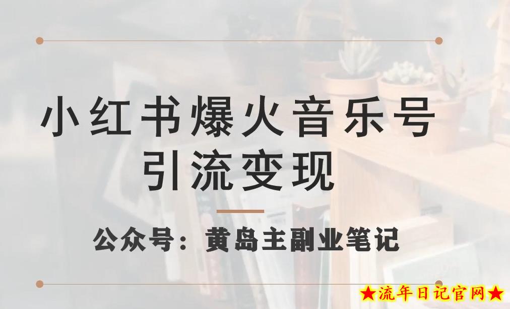 小红书爆火音乐号引流变现项目，视频版一条龙实操玩法分享给你-流年日记