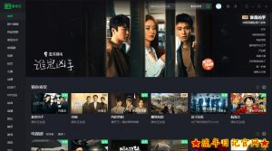 PC爱奇艺v10.8.5.7283绿色版-流年日记