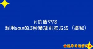 K价值998利用soul的3种精准引流方法(揭秘)-流年日记