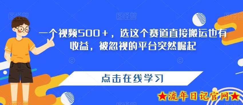 一个视频500＋，选这个赛道直接搬运也有收益，被忽视的平台突然崛起-流年日记