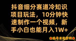抖音细分赛道冷知识项目玩法,10分钟快速制作一个视频,新手小白也能月入1W+【揭秘】-流年日记