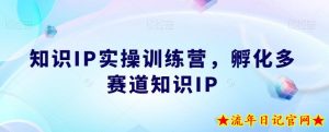 知识IP实操训练营,孵化多赛道知识IP-流年日记
