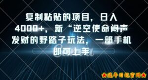 复制粘贴的项目,日入4000+,新“逆空使命“闷声发财的野路子玩法,一部手机即可上手-流年日记