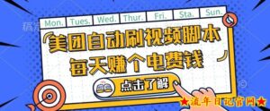 美团视频掘金,解放双手脚本全自动运行,不需要人工操作可批量操作【揭秘】-流年日记