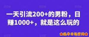 一天引流200+的男粉,日赚1000+,就是这么玩的【揭秘】-流年日记