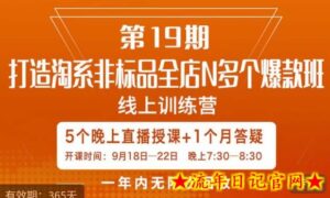 打造淘系非标全店N多个爆款线上课,5天直播课-流年日记