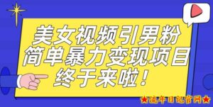 价值3980的男粉暴力引流变现项目,一部手机简单操作,新手小白轻松上手,每日收益500+【揭秘】-流年日记