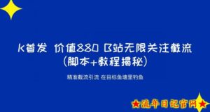 K首发价值880 B站无限关注截流精准引流（脚本+教程揭秘）-流年日记