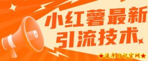 小红书最新引流技术,真正实现解放双手暴力引流-流年日记