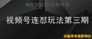 梅花实验室社群连怼玩法第三期轻原创玩法+测素材方式-流年日记