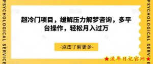 超冷门项目,缓解压力解梦咨询,多平台操作,轻松月入过万【揭秘】-流年日记