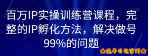 百万IP实操训练营课程,完整的IP孵化方法,解决做号99%的问题-流年日记