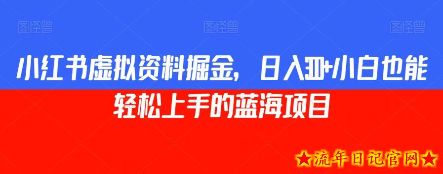 小红书虚拟资料掘金，日入300+小白也能轻松上手的蓝海项目【揭秘】-流年日记