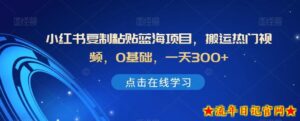 小红书复制粘贴蓝海项目,搬运热门视频,0基础,一天300+-流年日记