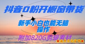 抖音0粉开橱窗带货,日入500+,新手小白也能无脑操作【附加820G剪辑资料】-流年日记