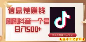 抖音信息差项目,有抖音就能零撸,看看视频、点点赞就能日入破百-流年日记