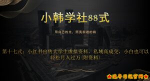 小韩学社88式第十七式:0成本项目,小红书出售大学生虚拟资料,私域高成交,小白也可以轻松月入过万{附资料}-流年日记