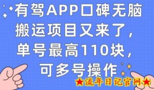 有驾APP口碑无脑搬运项目又来了,单号最高110块,可多号操作-流年日记