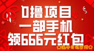0撸项目,一部手机领666元红包,操作无难点-流年日记