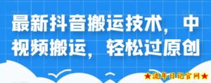 外卖598元的最新抖音搬运技术,中视频搬运,轻松过原创-流年日记