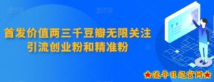首发价值两三千豆瓣无限关注引流创业粉和精准粉-流年日记