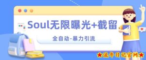 【暴力引流】Soul无限曝光+截留一体的软件【揭秘】-流年日记