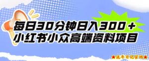 每日30分钟日入300+小红书小众高端资料项目-流年日记