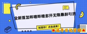 全新首发哔哩哔哩无限多开精准暴利引流,可无限多开,抗封首发精品脚本-流年日记