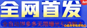 【首发】拆解拼多多如何日引100+精准粉(附脚本+视频教程)【揭秘】-流年日记