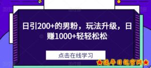 日引200+的男粉,玩法升级,日赚1000+轻轻松松-流年日记